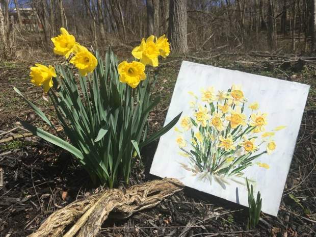 90994616_1016126308780965_8787960012006752256_n